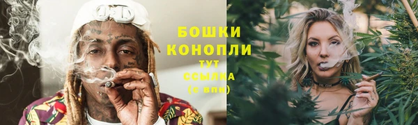 PSILOCYBIN Бугульма