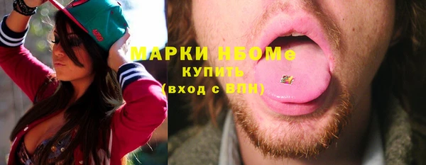 твердый Бородино