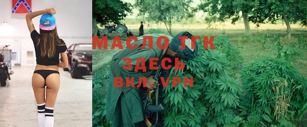 твердый Бородино