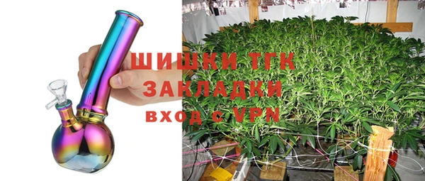 твердый Бородино
