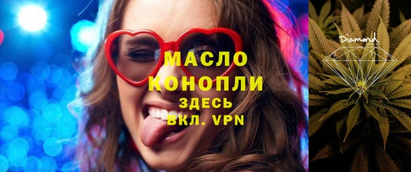 твердый Бородино