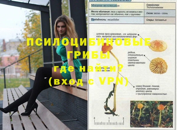 твердый Бородино