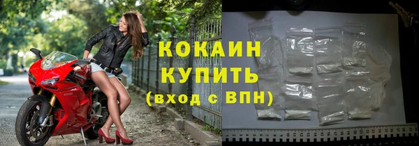 твердый Бородино