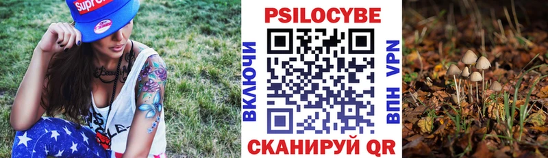 Псилоцибиновые грибы Psilocybe  Купить где  Дудинка 